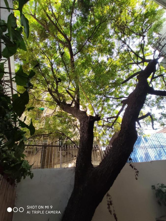 Bed and Breakfast The Neem Nuova Delhi Esterno foto